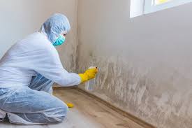 Why You Should Choose Our Mold Remediation Services in Oakland City, IN