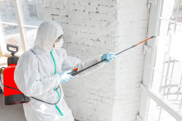 Oakland City, IN Mold Removal Company